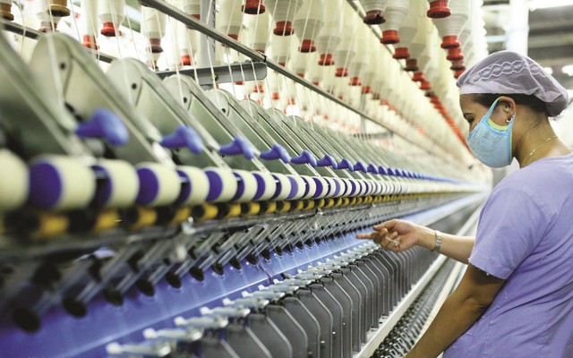 "Mỏ vàng" nào đưa Việt Nam chạm mốc gần 40 tỷ USD, khiến Mỹ chi hơn 17 tỷ USD mỗi năm?