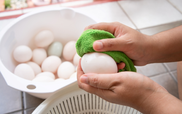 Có nên rửa trứng rồi mới cất tủ lạnh không? Thì ra rất nhiều người làm ngược