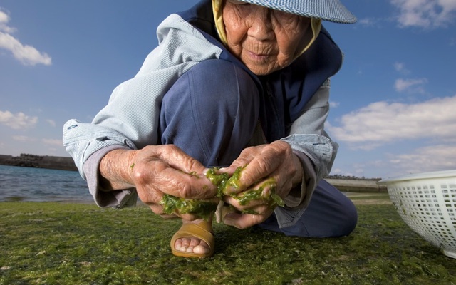 Muốn sống tới 100 tuổi? Hãy học những người sống thọ nhất thế giới ăn 8 loại thực phẩm này