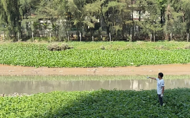 Phát hiện thi thể nam giới nổi trên rạch ở TPHCM