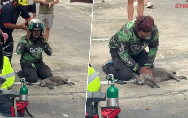 Nam shipper quỳ gập gối bên đường cố cứu mèo trong vụ cháy chung cư: Clip lan truyền chóng mặt, danh tính được truy tìm