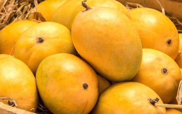 Khi mua xoài, nói đúng 1 câu này, người bán chột dạ và không dám qua mặt bạn