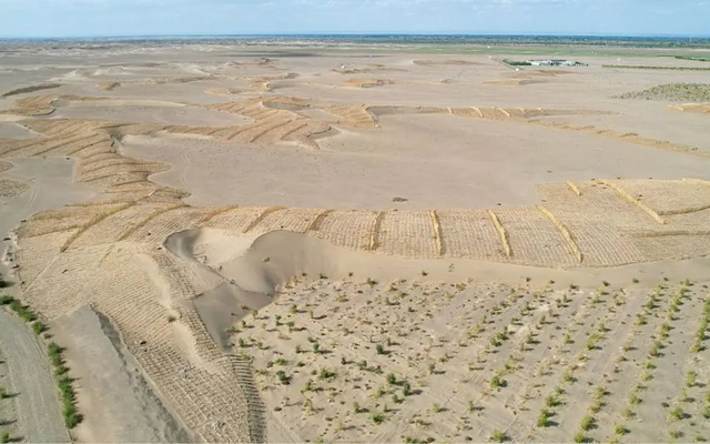 Phát minh chưa từng có trên thế giới của Trung Quốc: Không cần trồng cây vẫn phục hồi hàng nghìn hecta sa mạc, hiệu quả cao nhưng chi phí thấp