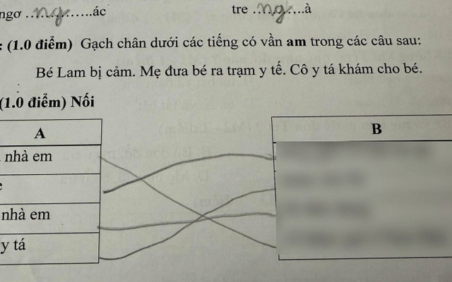 Xem bài tập tiếng Việt của con, bà mẹ Đà Nẵng bật cười: Nuôi hết cơm gạo, con tả mẹ như thế này đây!