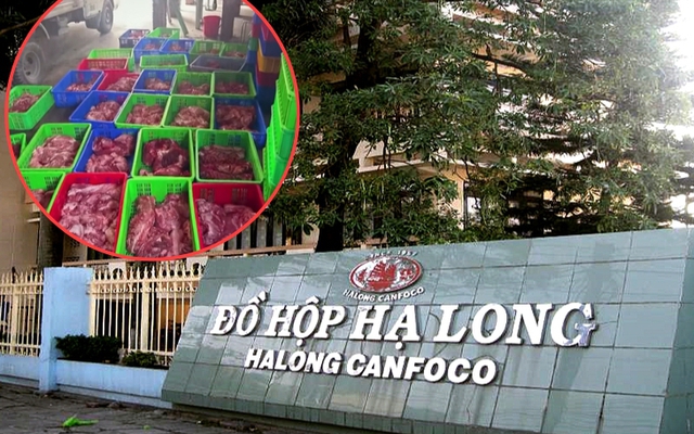 Vụ hơn 120 tấn thịt lợn nhiễm bệnh ôi thiu tuồn vào Công ty Đồ hộp Hạ Long: Người thu mua khai gì?