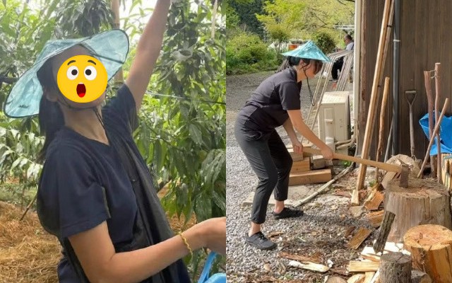 Mỹ nhân nổi tiếng vô ơn bỏ showbiz làm môi giới bất động sản, giờ phát tướng xuống cấp nhan sắc đến mức này