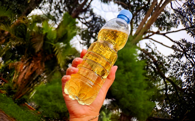 Hơn 90% người bệnh không biết thận đang "chết dần", bác sĩ dạy cách tự kiểm tra chỉ với 1 chiếc chai nhựa