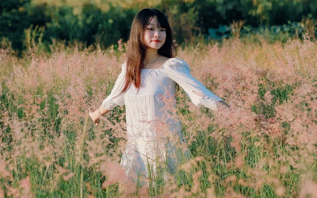 Bãi cỏ hồng ngay tại Hà Nội: Tọa độ sống ảo mới cho những ngày thu dịu mát