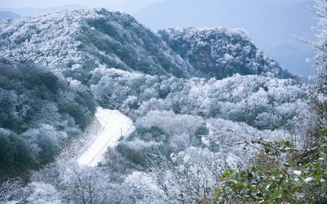 Phát hiện đỉnh núi cao 1.931 m ở Việt Nam, từng lạnh -9°C, mùa đông phủ băng trắng đẹp như châu Âu