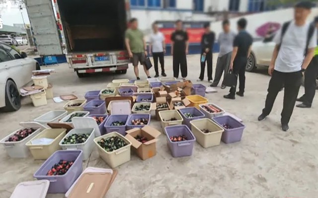 Trung Quốc: Giáo sư hóa học bị cáo buộc thiết kế phòng thí nghiệm điều chế ma túy tại 5 thành phố