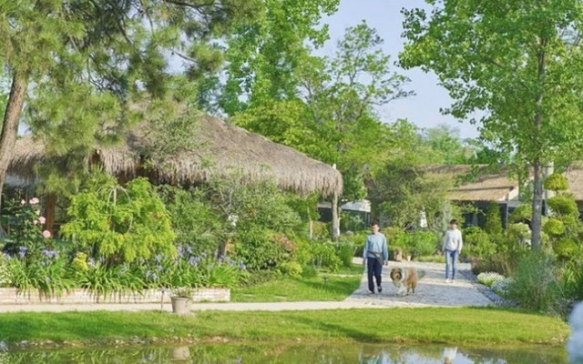 Bỏ phố lên núi nghỉ hưu ở tuổi 34, đêm đến tôi lại không dám ra khỏi nhà