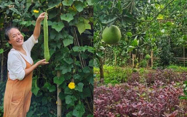 Mẹ nuôi của Phương Oanh nghỉ hưu sớm, làm nông dân ở khu vườn rộng 4.000m² ven sông Hồng