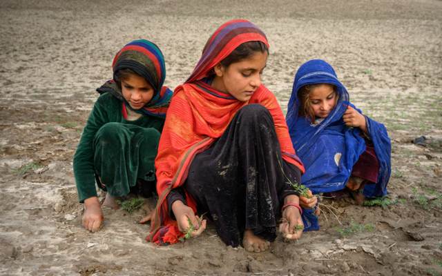Biến đổi khí hậu buộc các gia đình Afghanistan phải bán con gái làm cô dâu