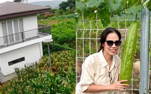 Mẹ Á hậu 2 Miss Universe Vietnam 2026 có khu vườn gần 1.000m² ở Lâm Đồng, trồng đủ rau trái, sống chill