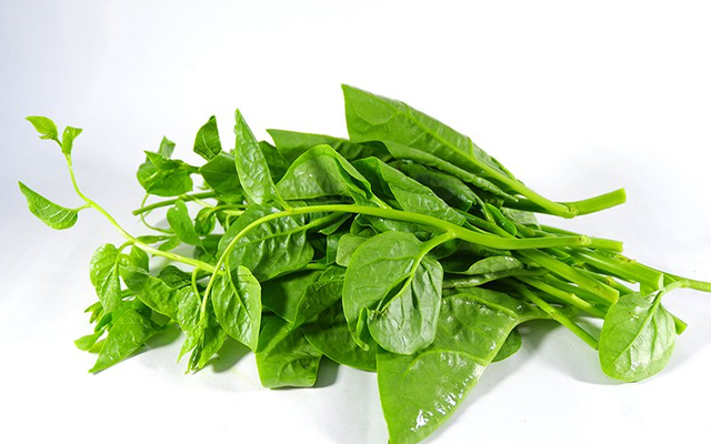 Lời khuyên đến tất cả các gia đình đang trồng cây mồng tơi để ăn