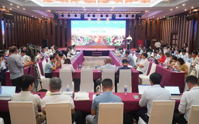 Ứng dụng công nghệ giúp nông dân trồng khoai tây thu 73 triệu/hecta