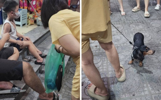 Chủ dắt chó xuống sân dạo nhưng không rọ mõm khiến 1 bé trai bị cắn phải đi tiêm phòng trong đêm