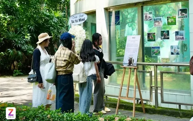Ngậm ngùi chia tay sư tử trắng vừa qua đời ở Thảo Cầm Viên