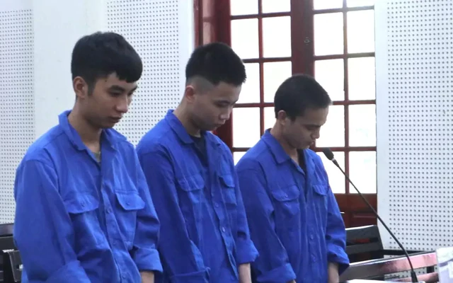 Bí mật trong chuồng gà khiến gã trai 20 tuổi lĩnh án 16 năm tù