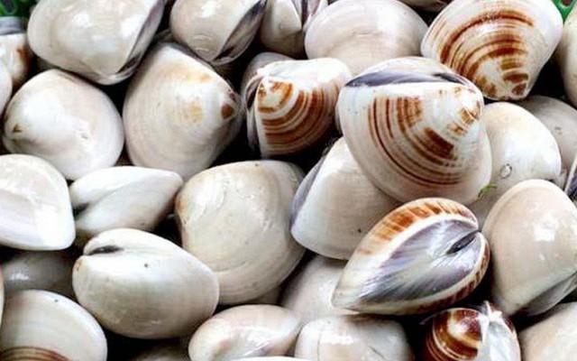 Đi chợ thấy ngao có 2 dấu hiệu này mua ngay lập tức: Người sành ăn nhìn là biết ngao tươi ngon, nhiều thịt
