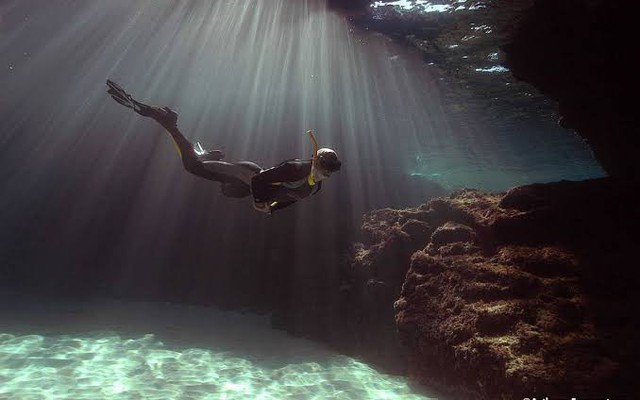 Phát hiện sinh vật sống thọ đến khó tin trên Trái đất: Ước tính tuổi đời lên tới 200.000 năm