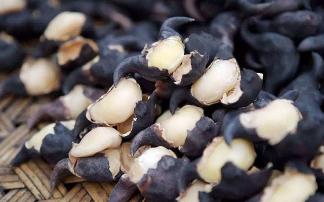 Vào mùa thu, đừng chỉ ăn củ sen, đây mới là "kho báu dinh dưỡng" quen thuộc của người Việt