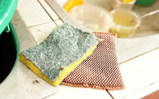 Tất cả các gia đình đang dùng miếng bọt biển rửa bát xin chú ý!
