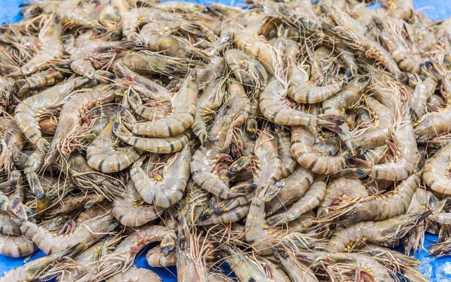 Một ngư dân già chia sẻ mẹo mua tôm: "Tôi không bao giờ cho người thân ăn 5 loại tôm này!"