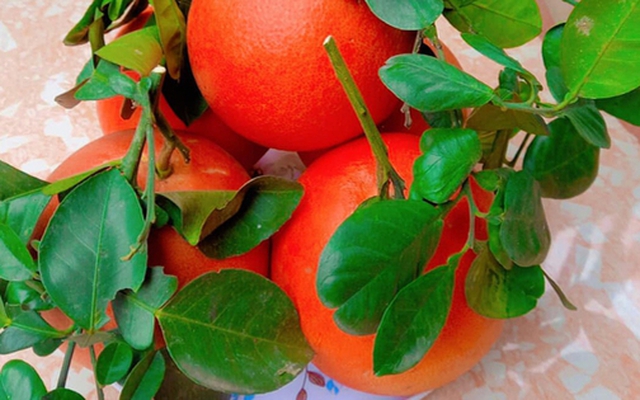 Thông gia giàu có tự nhiên gọi mời ăn cơm, tôi bối rối mang đúng 1 món vườn nhà mà họ “khóc hết nước mắt” không hiểu ra sao