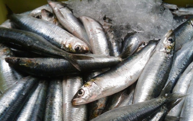 Đột quỵ rất “sợ” loại cá này, người Việt đang ăn rất nhiều mà chưa hề nhận ra