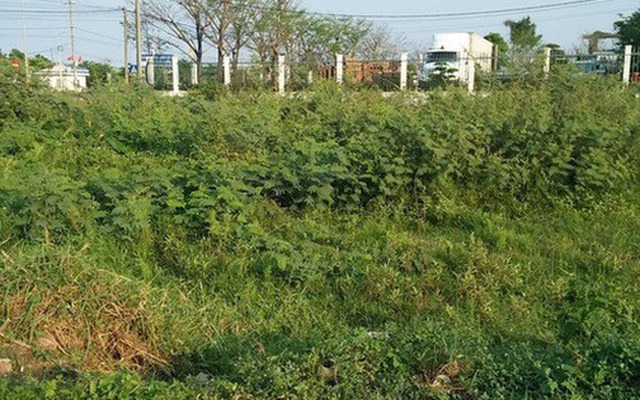 Người dân chuyển đất nông nghiệp sang đất ở trước năm 2026 sẽ được hoàn lại tiền