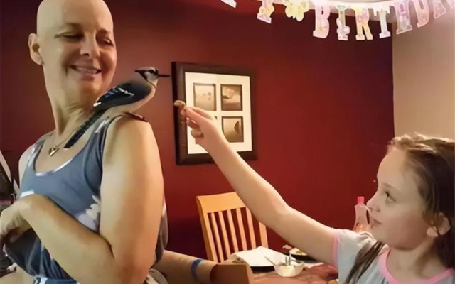 Được cứu sống lúc hấp hối, chú chim nhỏ "trả ơn" người phụ nữ mắc ung thư theo cách bác sĩ cũng ngỡ ngàng