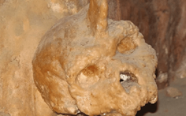 Lịch sử loài người có thể phải viết lại vì phát hiện của một người chăn cừu vào năm 1959