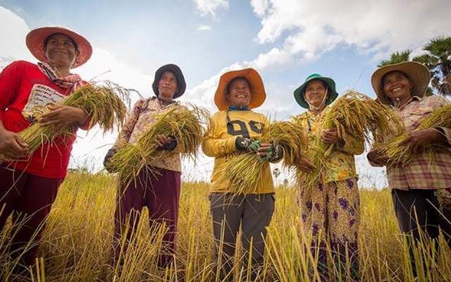 Một mặt hàng 300.000 tấn của Campuchia nhận tin vui lớn từ Việt Nam