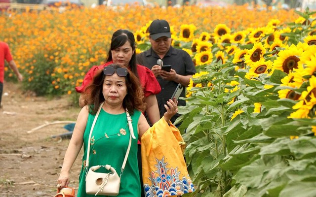 Dự báo thời tiết ngày 2/2: Bắc Bộ có nơi rét đậm, Nam Bộ nắng 33°C