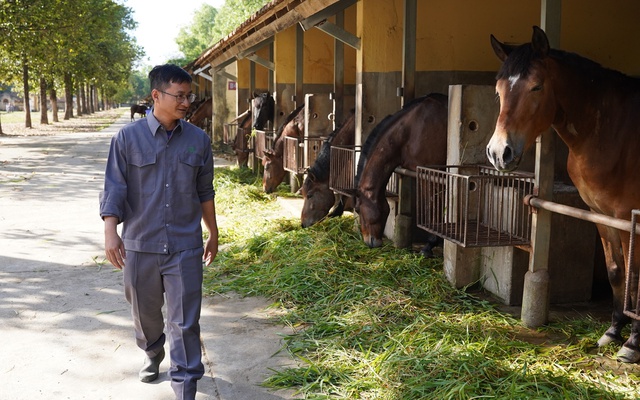 Bên trong trại nuôi ngựa… cứu người