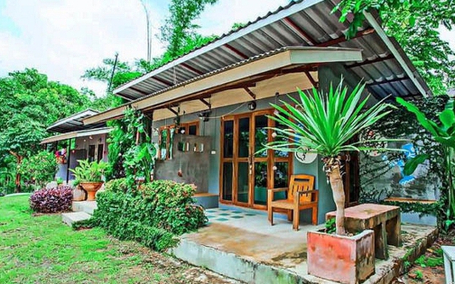 Ngày tôi quyết định bán căn nhà ở phố về quê sống, hàng xóm chê cười, Tết năm nay họ lại ngại ngùng nhìn tôi khâm phục