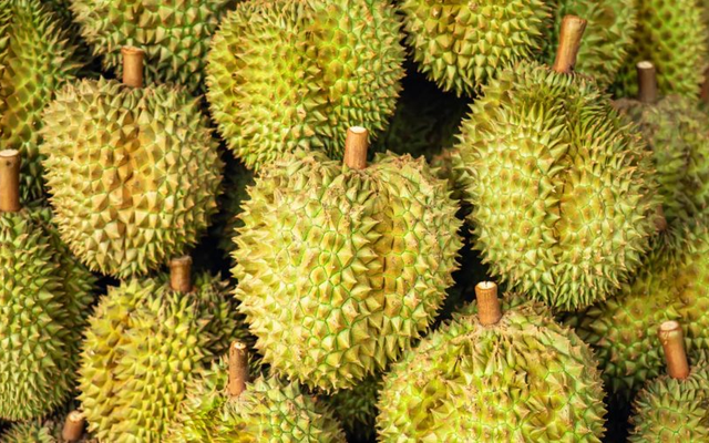 Giá sầu riêng Việt Nam lập đỉnh trong 3 năm, chuyện gì đang xảy ra?