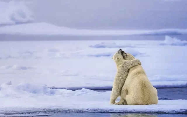 Kỳ quan hiếm lạ trong những bức ảnh thiên nhiên đoạt giải