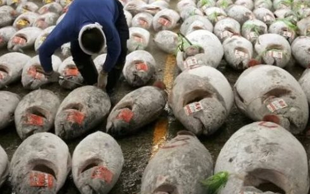 Việt Nam đón tin vui từ Mỹ