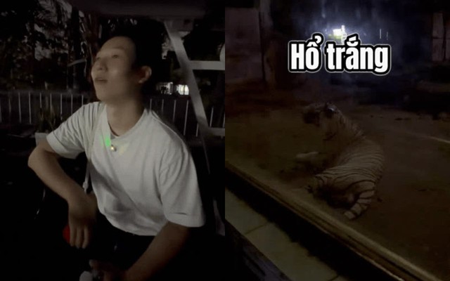 Khách Hàn ngã ngửa đi tour đêm mới biết dàn thú Thảo Cầm Viên cũng bị dí KPI