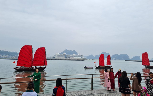 Chính thức: Tạm dừng hoạt động của thuyền buồm đỏ ven bờ vịnh Hạ Long, lý do là gì?