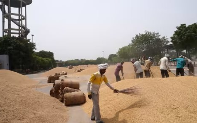 Đối thủ gạo lớn nhất của Việt Nam đón cú sốc đầu năm