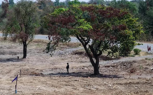 Binh sĩ Thái Lan mất chân vì giẫm trúng mìn gần biên giới với Campuchia