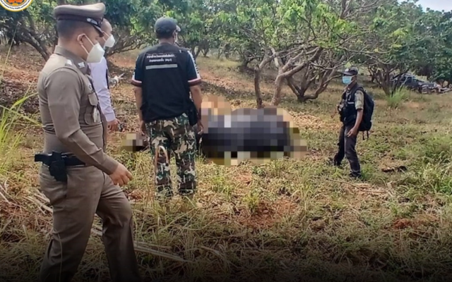 Ghé vườn nhãn, người phụ nữ sững sờ thấy sinh vật khổng lồ nằm bất động, hiện trường lập tức bị phong tỏa