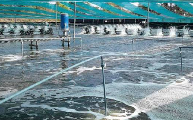 Việt Nam vừa đón tin cực vui từ Mỹ và Trung Quốc