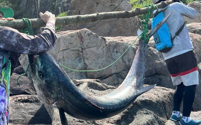 Người đàn ông Đà Nẵng câu được "thủy quái" nặng 63kg, phải khiêng hơn 300m đường núi để đưa lên bờ