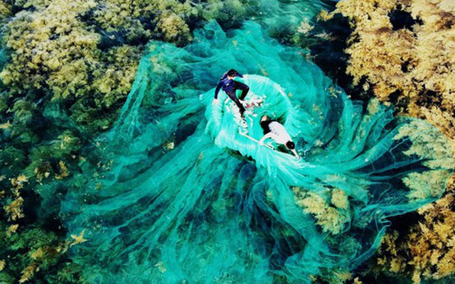 Việt Nam có "mỏ vàng dưới nước", mang về gần 900 triệu USD trong tháng 1: Trung Quốc, Nhật Bản ồ ạt mua