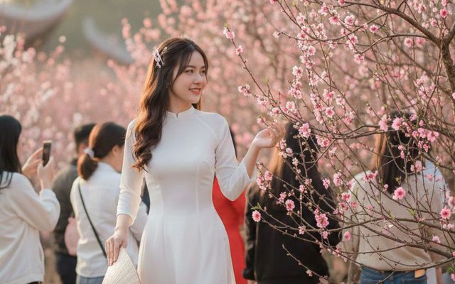 Tại sao tiết Lập xuân thường không thể trùng đúng mùng 1 Tết