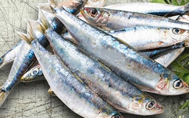 7 loại cá tích tụ thủy ngân nhiều bậc nhất